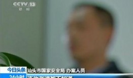 间谍公司爆料案件最新,神秘间谍活动惊现国际风云